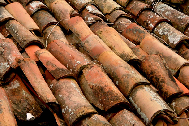 Image 1190431 (auto)