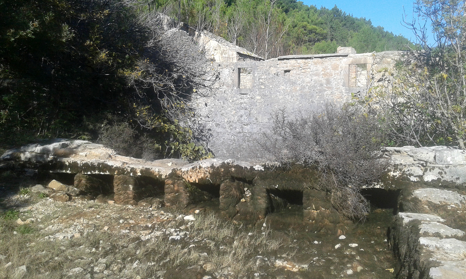 Krška rijela Karišnica. Foto: Edvard Šprljan Krška rijela Karišnica. Foto: Edvard Šprljan