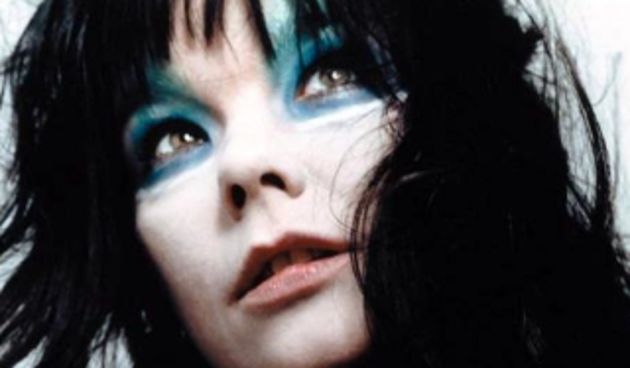 Bjork (Foto: javno.com)