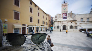 Đir po gradu (sa sunčanim naočalama) 7. studenog 2011, Foto: Saša Čuka