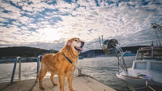 Đir po Sutomišćici Đir po Sutomišćici