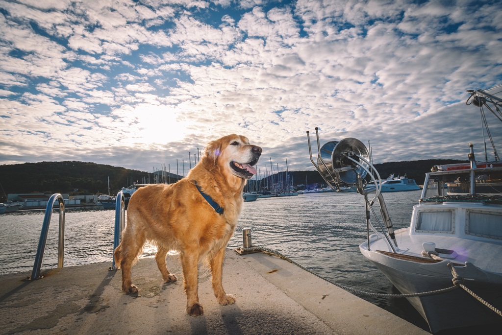 Đir po Sutomišćici Đir po Sutomišćici