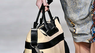 Torbice za proljeće 2010.