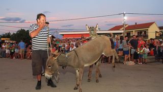 Trka Tovarov – 48. Memorijal Kenje Vijole Sukošan  Photo: Leo Banić