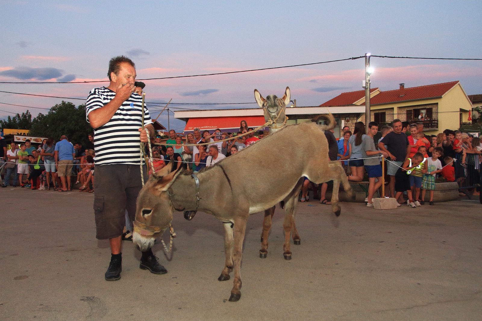 Trka Tovarov – 48. Memorijal Kenje Vijole Sukošan  Photo: Leo Banić
