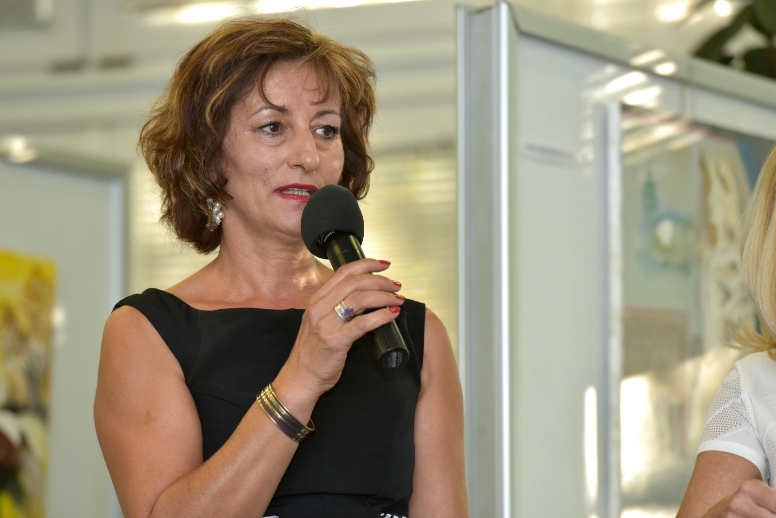 GKZD: Otvorena izložba St.David autorice Sonje Butić Davidoff