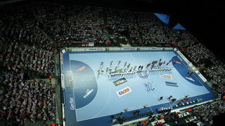 Hrvatska – Svedska 30-26, Foto: CROPIX