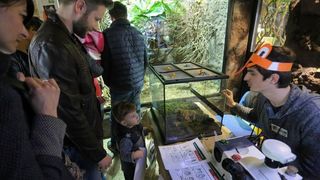 U Zooloskom vrtu u Zagrebu obiljezen Zablji dan u sklopu kojeg su se odrzavale razne radionice, a zainteresirani posjetitelji mogli su i dirati zabe. Photo: Tomislav Miletic/PIXSELL