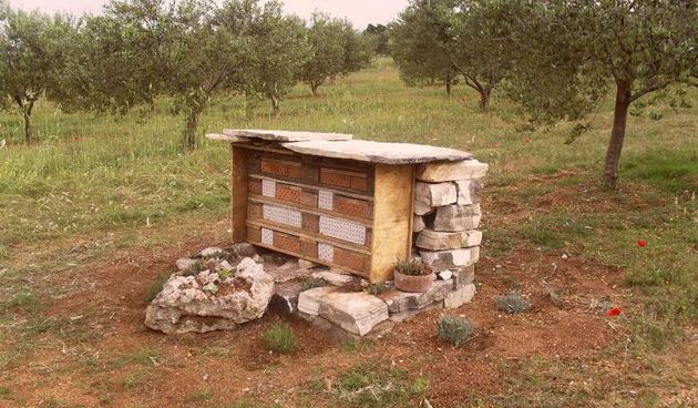 Hotel za solitarne pčele i druge korisne kukce u ekološkom masliniku OPG-a Čirjak