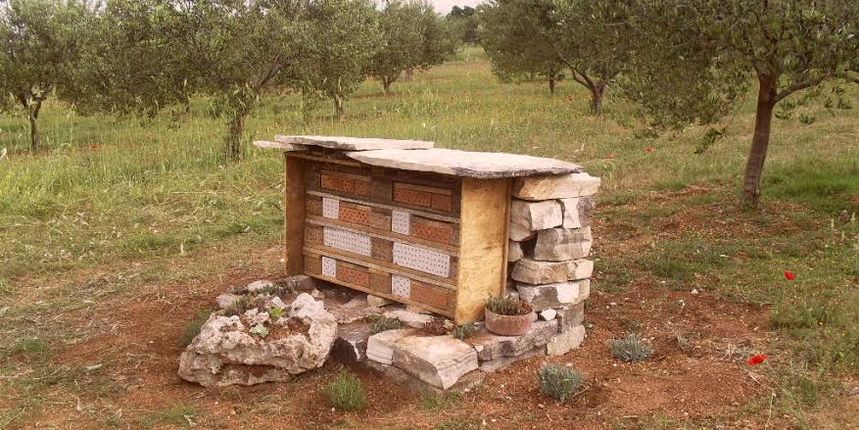 Hotel za solitarne pčele i druge korisne kukce u ekološkom masliniku OPG-a Čirjak