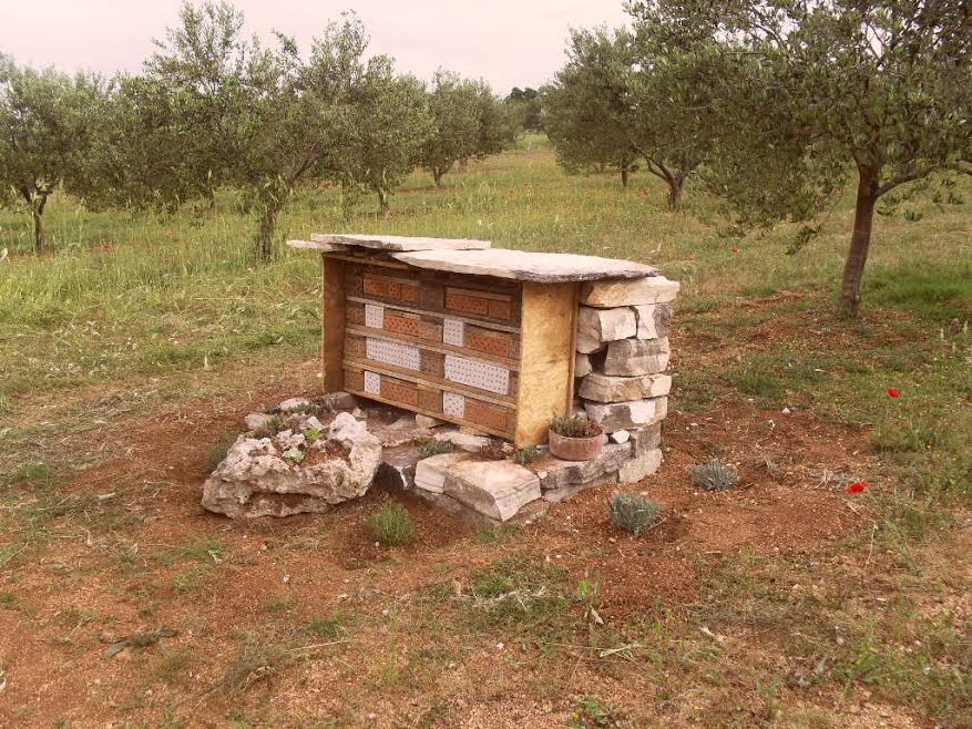 Hotel za solitarne pčele i druge korisne kukce u ekološkom masliniku OPG-a Čirjak