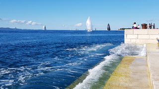 Zadarska Koka 2016. 22. listopada 2016. Foto: Mladen Malik Zadarska Koka 2016. 22. listopada 2016. Foto: Mladen Malik