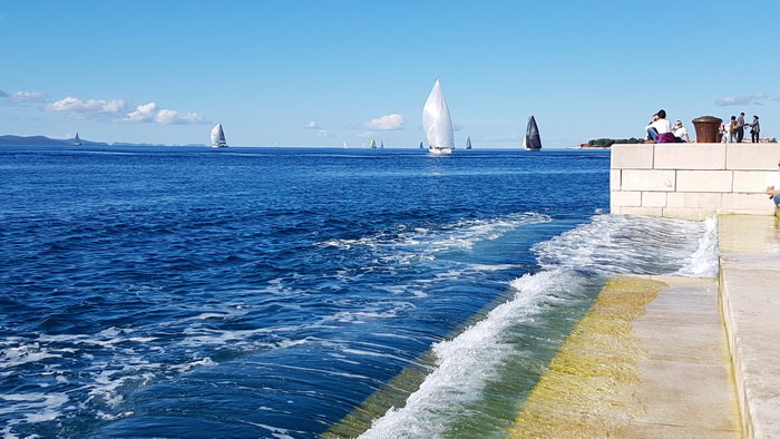 Zadarska Koka 2016. 22. listopada 2016. Foto: Mladen Malik Zadarska Koka 2016. 22. listopada 2016. Foto: Mladen Malik