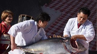 , Zadar – U sklopu drugog po redu Tuna, Sushi and Wine Festivala koji se od 3. do 7. veljace odrzava u Zadru, danas je odrzan glavni otvoreni dogadjaj za javnost na zadarskom Forumu uz degustaciju sushi i specijaliteta od tune i show program. Photo: Dino , Zadar – U sklopu drugog po redu Tuna, Sushi and Wine Festivala koji se od 3. do 7. veljace odrzava u Zadru, danas je odrzan glavni otvoreni dogadjaj za javnost na zadarskom Forumu uz degustaciju sushi i specijaliteta od tune i show program. Photo: Dino