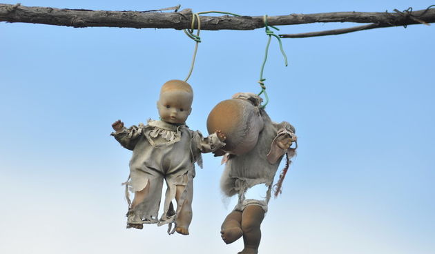 Zadar, 021111
Uz cestu koja vodi od Zadra prema Razancu moze se vidjeti jedan od sigurno najneobicnijih vinograda na svijetu. Umjesto uobicajenih strasila, vinograd cuvaju ogromni plisani medvjedi , lutke, barbike i raznorazne druge igracke i predmeti.
Fo