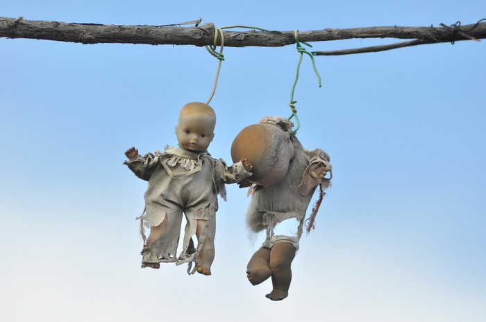 Zadar, 021111
Uz cestu koja vodi od Zadra prema Razancu moze se vidjeti jedan od sigurno najneobicnijih vinograda na svijetu. Umjesto uobicajenih strasila, vinograd cuvaju ogromni plisani medvjedi , lutke, barbike i raznorazne druge igracke i predmeti.
Fo Zadar, 021111
Uz cestu koja vodi od Zadra prema Razancu moze se vidjeti jedan od sigurno najneobicnijih vinograda na svijetu. Umjesto uobicajenih strasila, vinograd cuvaju ogromni plisani medvjedi , lutke, barbike i raznorazne druge igracke i predmeti.
Fo