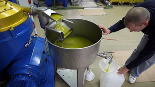 Zadar, 051112.
Uljare na zadarskom podrucju ubrzano preradjuju masline u ulje, ali prvi podaci govore da je ove godine randman izuzetno slab zbog velike suse u Dalmaciji. Detalj iz Uljare Zadar na Novom Bokanjcu u Zadru.
Foto: Jure Miskovic / CROPIX Zadar, 051112.
Uljare na zadarskom podrucju ubrzano preradjuju masline u ulje, ali prvi podaci govore da je ove godine randman izuzetno slab zbog velike suse u Dalmaciji. Detalj iz Uljare Zadar na Novom Bokanjcu u Zadru.
Foto: Jure Miskovic / CROPIX