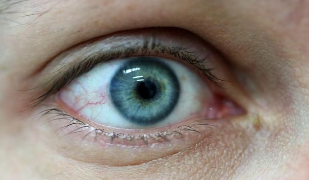 Oftalmološki pregled vida. Pregled očiju. Photo: Marko Mrkonjic/PIXSELL