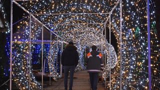 Dva milijuna lampica za božićnu čaroliju na imanju Salaj