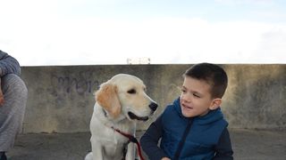 Transformeri stigli u Zadar