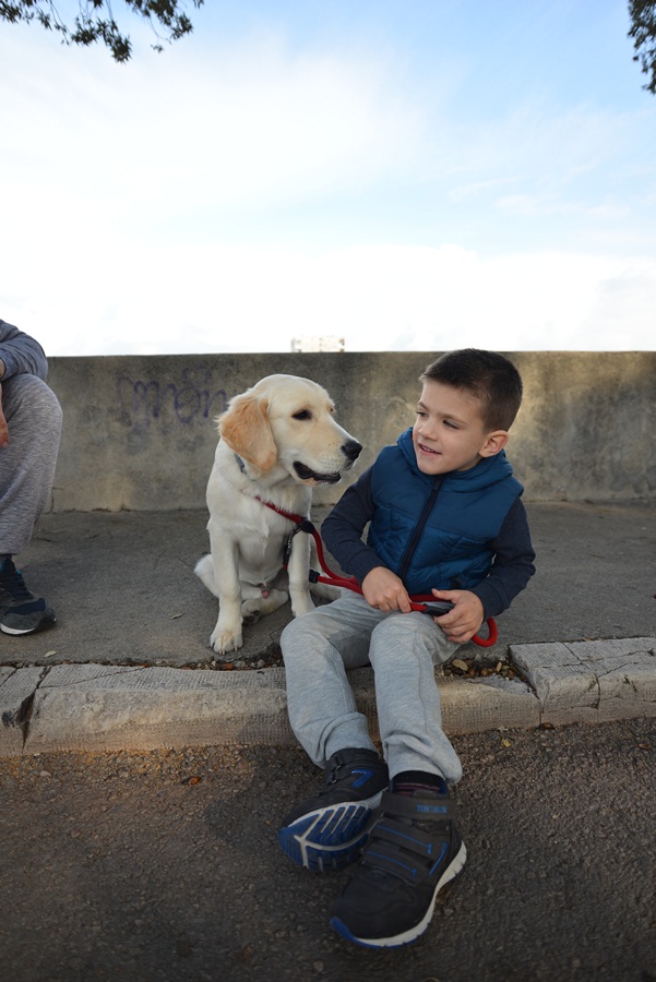 Transformeri stigli u Zadar