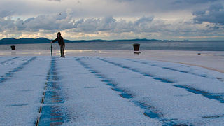 Pozdrav suncu prekriven ledenim pokrivacem 26. studenog 2010, Foto: Leo Banic
