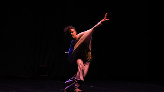 Večer Za Nives, plesni ansambli, foto: Iva Perinčić