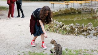 Noć tvrđava u Zadru – prijepodnevni program