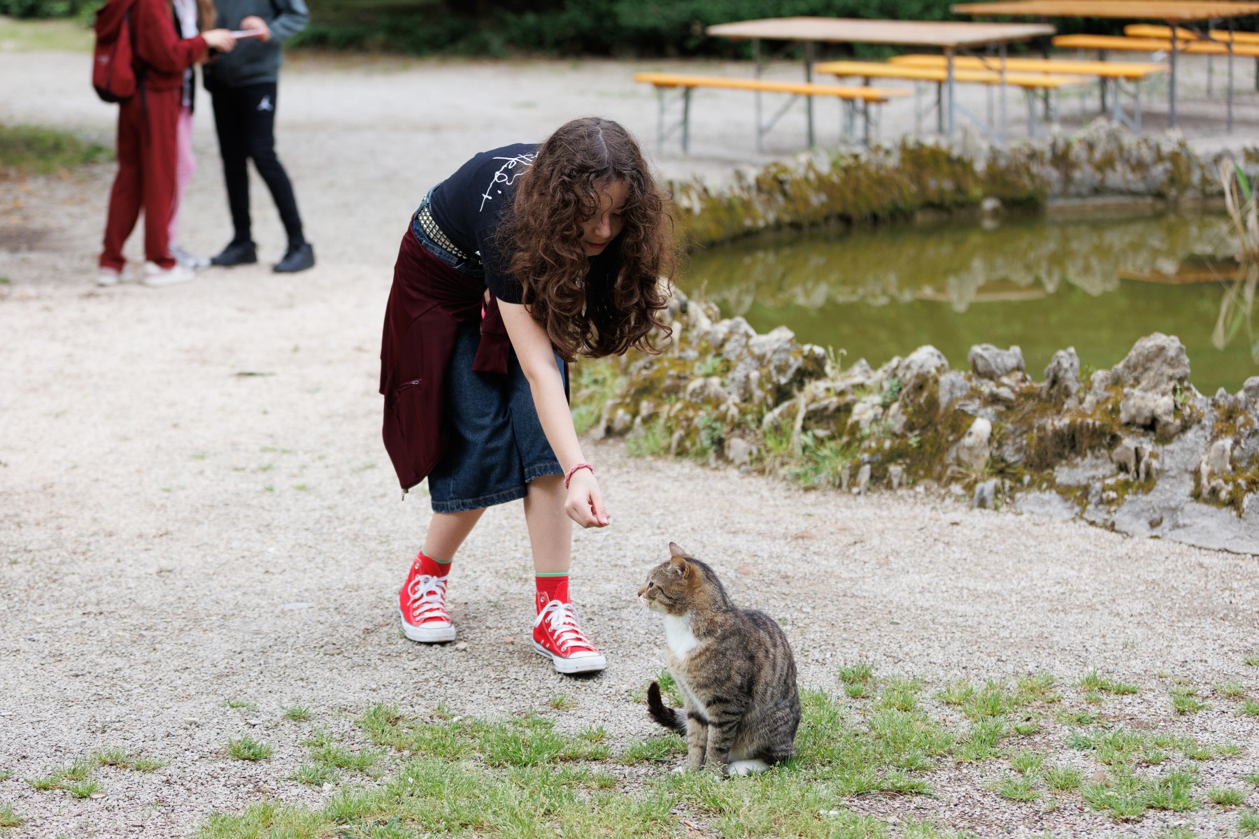 Noć tvrđava u Zadru – prijepodnevni program
