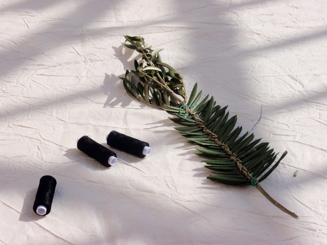 Radionica pletenja maslinovih grančica, foto: Karla Šorić Radionica pletenja maslinovih grančica, foto: Karla Šorić