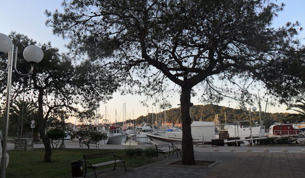 Udruga Stihovi i Note raspisuje natječaj za 1. Dječji festival Otočki kanarin