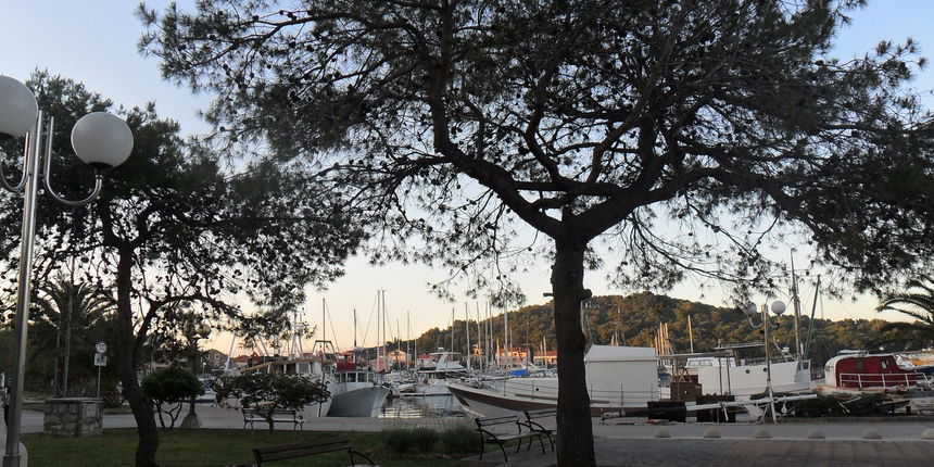 Udruga Stihovi i Note raspisuje natječaj za 1. Dječji festival Otočki kanarin