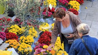 Započela prodaja cvijeća na zadarskoj tržnici, foto-I. Perinčić Započela prodaja cvijeća na zadarskoj tržnici, foto-I. Perinčić
