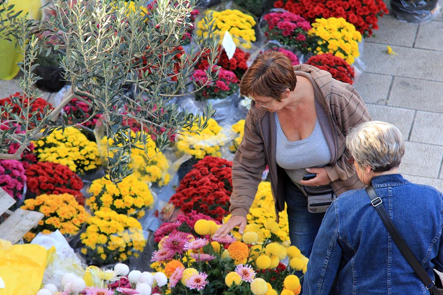 Započela prodaja cvijeća na zadarskoj tržnici, foto-I. Perinčić Započela prodaja cvijeća na zadarskoj tržnici, foto-I. Perinčić