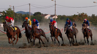 Polača: 14. Međunarodne konjičke utrke “Oluja 95”, Foto: Leo Banić Polača: 14. Međunarodne konjičke utrke “Oluja 95”, Foto: Leo Banić