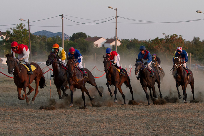 Polača: 14. Međunarodne konjičke utrke “Oluja 95”, Foto: Leo Banić Polača: 14. Međunarodne konjičke utrke “Oluja 95”, Foto: Leo Banić