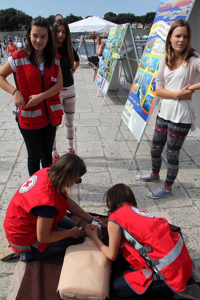 Nacionalna društva Crvenog križa diljem svijeta, potaknuta inicijativom Međunarodne federacije društava Crvenog križa i Crvenog polumjeseca (IFRC), obilježila su i ove godine Svjetski dan prve pomoći. Ovo je bila još jedna prilika da se ukaže na važnost p Nacionalna društva Crvenog križa diljem svijeta, potaknuta inicijativom Međunarodne federacije društava Crvenog križa i Crvenog polumjeseca (IFRC), obilježila su i ove godine Svjetski dan prve pomoći. Ovo je bila još jedna prilika da se ukaže na važnost p