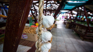 Đir po pijaci, 17. travnja 2012. (foto:Saša Čuka)