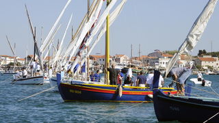 Murter, 021011.
U Murteru odrzana tradicionalna regata brodica ” Latinsko idro” gdje je sudjelovalo sedamdesetak posada.
Na slici: pred start.
Foto: Jadran Babic / CROPIX Murter, 021011.
U Murteru odrzana tradicionalna regata brodica ” Latinsko idro” gdje je sudjelovalo sedamdesetak posada.
Na slici: pred start.
Foto: Jadran Babic / CROPIX