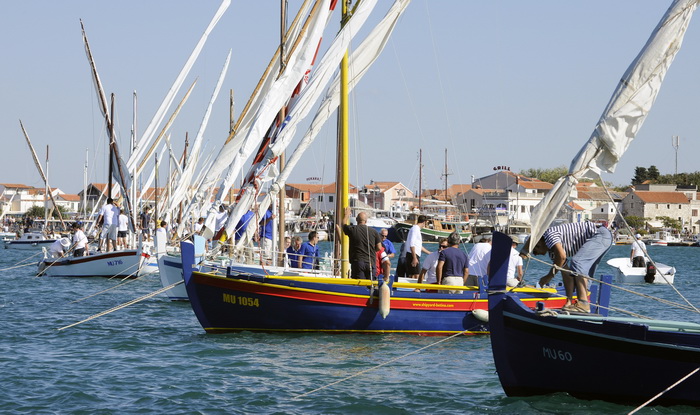 Murter, 021011.
U Murteru odrzana tradicionalna regata brodica ” Latinsko idro” gdje je sudjelovalo sedamdesetak posada.
Na slici: pred start.
Foto: Jadran Babic / CROPIX Murter, 021011.
U Murteru odrzana tradicionalna regata brodica ” Latinsko idro” gdje je sudjelovalo sedamdesetak posada.
Na slici: pred start.
Foto: Jadran Babic / CROPIX