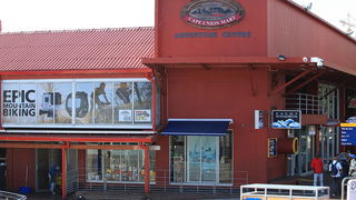 Šetnja Cape Townom u Južnoafričkoj Republici, Foto: Denis Peroš Šetnja Cape Townom u Južnoafričkoj Republici, Foto: Denis Peroš