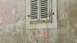 Gradska trznica uoci dana mrtvih, Foto: Mia Knezevic