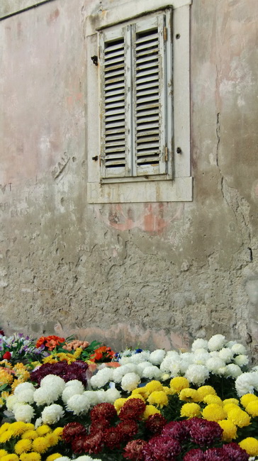 Gradska trznica uoci dana mrtvih, Foto: Mia Knezevic