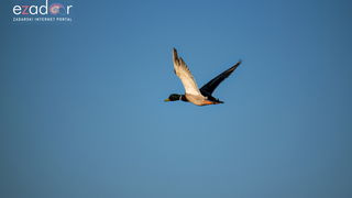 Nedjeljno svitanje na Vranskom jezeru Nedjeljno svitanje na Vranskom jezeru