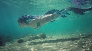 Mljet: Nasukana morska sirena Mljet: Nasukana morska sirena