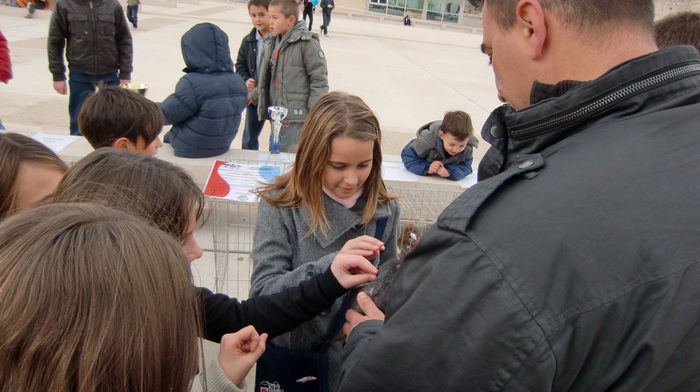 Izložba golubova na Poljani Ivana Pavla II. Izložba golubova na Poljani Ivana Pavla II.