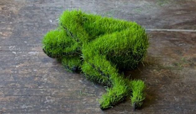 Skulptura od pšenice