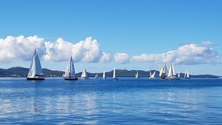 Zadarska Koka 2016. 22. listopada 2016. Foto: Mladen Malik Zadarska Koka 2016. 22. listopada 2016. Foto: Mladen Malik