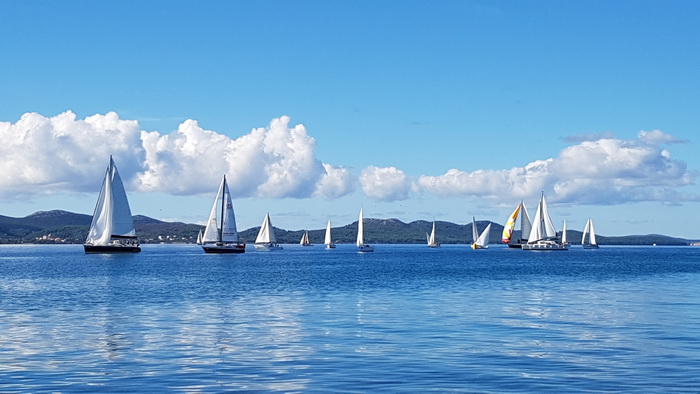 Zadarska Koka 2016. 22. listopada 2016. Foto: Mladen Malik Zadarska Koka 2016. 22. listopada 2016. Foto: Mladen Malik