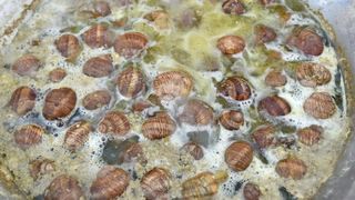 U sklopu Benkovackog kulturnog ljeta Grad Benkovac i Turisticka zajednica Grada Benkovca vec cetvrtu godinu za redom organiziraju manifestaciju Puzevim korakom. Radi se o gastro manifestaciji pripreme i degustacije puzeva. Posjetitelji su imali prilike d U sklopu Benkovackog kulturnog ljeta Grad Benkovac i Turisticka zajednica Grada Benkovca vec cetvrtu godinu za redom organiziraju manifestaciju Puzevim korakom. Radi se o gastro manifestaciji pripreme i degustacije puzeva. Posjetitelji su imali prilike d